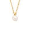 Its-Beautiful | Geelgouden Anker Collier met Zoetwaterparel Hanger | Nu te koop bij 14Karaats.nl | 10001091-Pendants