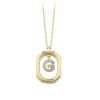 Star juwelier | Goud Hanger Letter G met Ketting Zirkonia 14 karaats | Nu te koop bij 14Karaats.nl | 10001091-Pendants