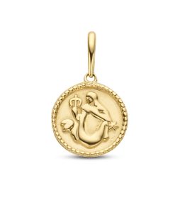 New Bling | New Bling 9NBG-0276 Gouden Sterrenbeeld - Waterman - 10mm Doorsnee - 14 Karaat - Goud | Nu te koop bij 14Karaats.nl | 10001091-Pendants