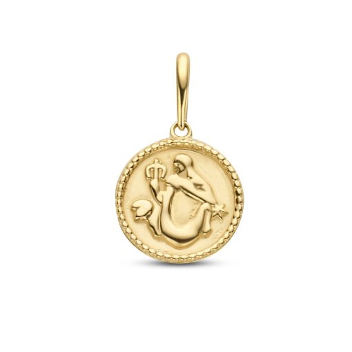 New Bling | New Bling 9NBG-0276 Gouden Sterrenbeeld - Waterman - 10mm Doorsnee - 14 Karaat - Goud | Nu te koop bij 14Karaats.nl | 10001091-Pendants