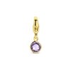 Its-Beautiful | Slotbedel Met Geboortesteen 14K Geelgoud | Nu te koop bij 14Karaats.nl | 10001091-Pendants