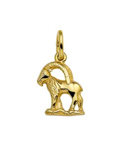 Its-Beautiful | Hanger Sterrenbeeld 14K Geelgoud | Nu te koop bij 14Karaats.nl | 10001091-Pendants