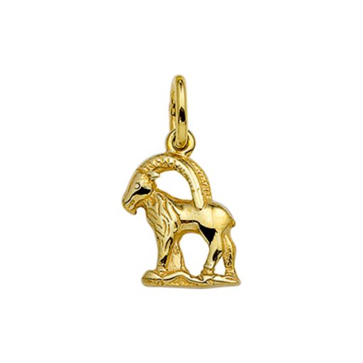 Its-Beautiful | Hanger Sterrenbeeld 14K Geelgoud | Nu te koop bij 14Karaats.nl | 10001091-Pendants