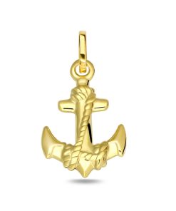 Zwartevalk | Juwelier Zwartevalk 14 karaat gouden anker hanger - 14.280 | Nu te koop bij 14Karaats.nl | 10001091-Pendants