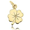 Zwartevalk | Juwelier Zwartevalk 14 Karaat gouden klaver hanger - 14.101.171 | Nu te koop bij 14Karaats.nl | 10001091-Pendants