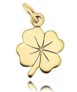 Zwartevalk | Juwelier Zwartevalk 14 Karaat gouden klaver hanger - 14.101.171 | Nu te koop bij 14Karaats.nl | 10001091-Pendants