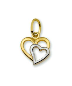 Kasius | 40.18476 Hanger dubbel hart Goud/Witgoud | Nu te koop bij 14Karaats.nl | 10001091-Pendants