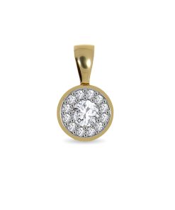 Zwartevalk | Juwelier Zwartevalk 14 karaat gouden hanger met zirkonia - 14.260 | Nu te koop bij 14Karaats.nl | 10001091-Pendants