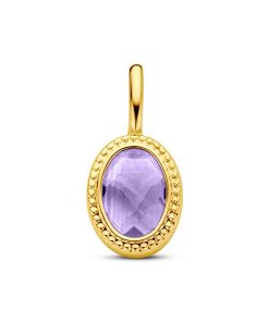 Its-Beautiful | hanger amethist | Nu te koop bij 14Karaats.nl | 10001091-Pendants