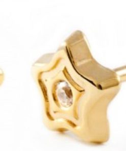 La Rosa Princesa | La Rosa Princesa Mini Ster Oorbellen Meisje 9 Karaat Goudkleurig Schroefsluiting -zirkonia | Nu te koop bij 14Karaats.nl | 10001087-Earrings/Body-piercing Jewellery