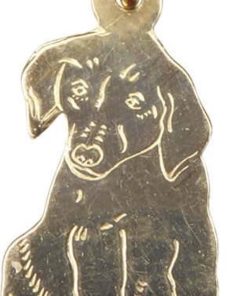 Christian | Gouden hond hanger | Nu te koop bij 14Karaats.nl | 10001091-Pendants