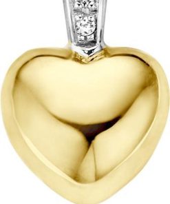 Blush | Blush Hanger 6077BZI - Geel Goud en Wit Goud (14krt.) met Zirconia | Nu te koop bij 14Karaats.nl | 10001091-Pendants