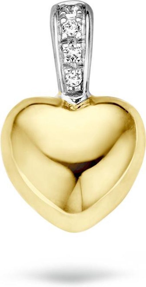 Blush | Blush Hanger 6077BZI - Geel Goud en Wit Goud (14krt.) met Zirconia | Nu te koop bij 14Karaats.nl | 10001091-Pendants