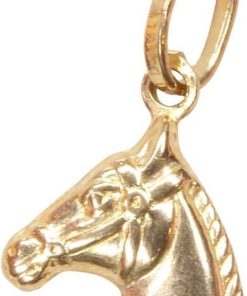Christian | Gouden paardenhoofd hanger | Nu te koop bij 14Karaats.nl | 10001091-Pendants