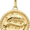 New Bling | New Bling 9NBG-0277 Gouden Sterrenbeeld - Vissen - 10 mm Doorsnee - 14 Karaat - Goud | Nu te koop bij 14Karaats.nl | 10001091-Pendants