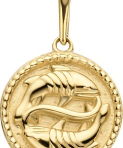 New Bling | New Bling 9NBG-0277 Gouden Sterrenbeeld - Vissen - 10 mm Doorsnee - 14 Karaat - Goud | Nu te koop bij 14Karaats.nl | 10001091-Pendants