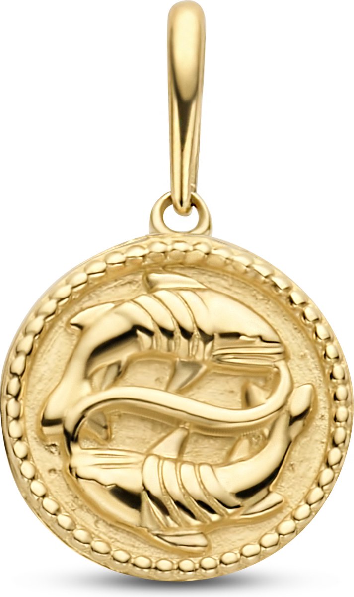 New Bling | New Bling 9NBG-0277 Gouden Sterrenbeeld - Vissen - 10 mm Doorsnee - 14 Karaat - Goud | Koop bij 14Karaats.nl New Bling | New Bling 9NBG-0277 Gouden Sterrenbeeld - Vissen - 10 mm Doorsnee - 14 Karaat - Goud | Nu te koop bij 14Karaats.nl | 10001091-Pendants