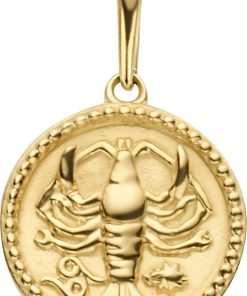 New Bling | New Bling 9NBG-0283 Gouden Sterrenbeeld - Kreeft - 10 mm Doorsnee - 14 Karaat - Goud | Nu te koop bij 14Karaats.nl | 10001091-Pendants