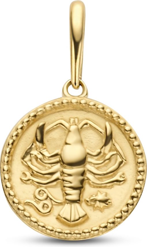 New Bling | New Bling 9NBG-0283 Gouden Sterrenbeeld - Kreeft - 10 mm Doorsnee - 14 Karaat - Goud | Nu te koop bij 14Karaats.nl | 10001091-Pendants