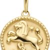 New Bling | New Bling 9NBG-0275 Gouden Sterrenbeeld - Leeuw - 10 mm Doorsnee - 14 Karaat - Goud | Nu te koop bij 14Karaats.nl | 10001091-Pendants