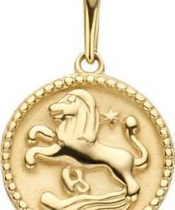 New Bling | New Bling 9NBG-0275 Gouden Sterrenbeeld - Leeuw - 10 mm Doorsnee - 14 Karaat - Goud | Nu te koop bij 14Karaats.nl | 10001091-Pendants