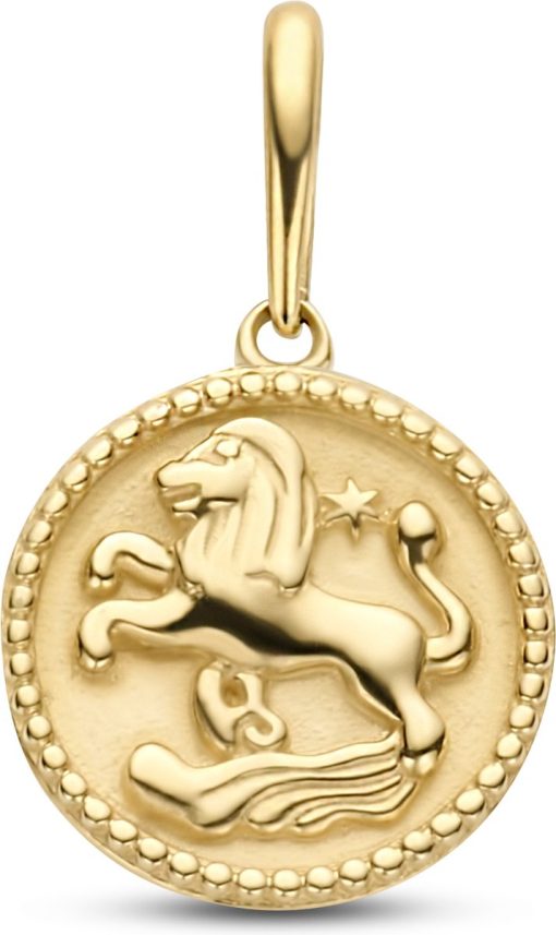 New Bling | New Bling 9NBG-0275 Gouden Sterrenbeeld - Leeuw - 10 mm Doorsnee - 14 Karaat - Goud | Nu te koop bij 14Karaats.nl | 10001091-Pendants