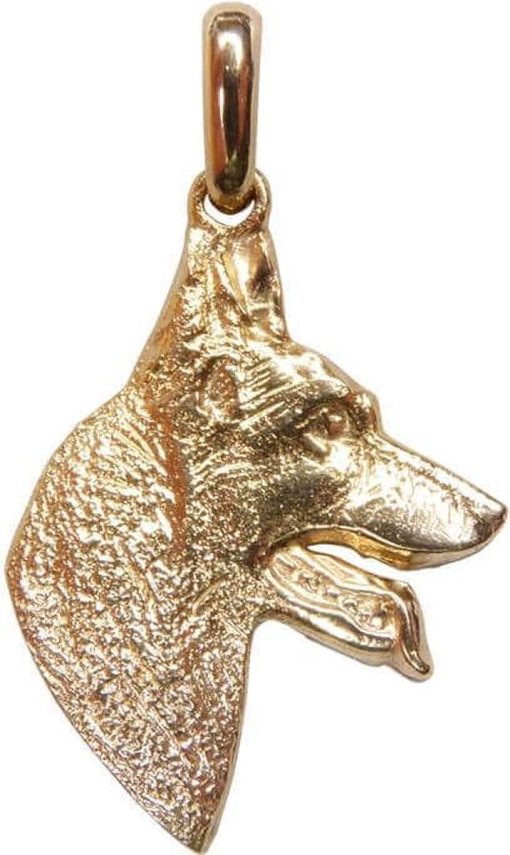 Christian | Gouden hond | Nu te koop bij 14Karaats.nl | 10001091-Pendants