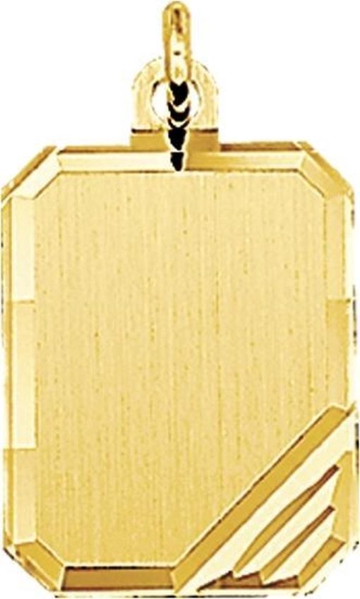 Kasius | 14K Geelgouden graveerhanger mat gediamanteerd - 4018352 | Nu te koop bij 14Karaats.nl | 10001091-Pendants
