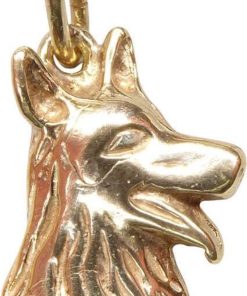 Christian | Geel gouden hond hanger | Nu te koop bij 14Karaats.nl | 10001091-Pendants