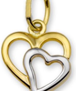 The Jewelry Collection | The Jewelry Collection Hanger Hart - Geelgoud | Nu te koop bij 14Karaats.nl | 10001091-Pendants