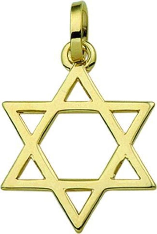 Marie-Celeste | The Jewelry Collection Hanger Davidster - Goud | Nu te koop bij 14Karaats.nl | 10001091-Pendants