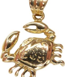 Christian | Gouden krab hanger | Nu te koop bij 14Karaats.nl | 10001091-Pendants