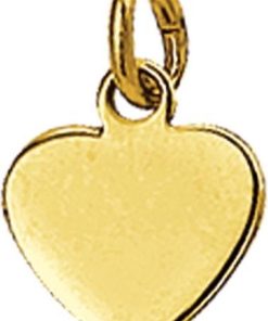 Kasius | 14K Geelgouden Graveerhartje hart - 4018344 | Nu te koop bij 14Karaats.nl | 10001091-Pendants