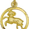 Its-Beautiful | Hanger Sterrenbeeld Gediamanteerd 14K Geelgoud | Nu te koop bij 14Karaats.nl | 10001091-Pendants