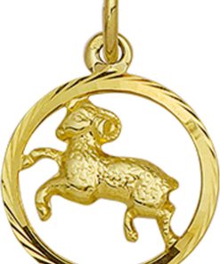 Its-Beautiful | Hanger Sterrenbeeld Gediamanteerd 14K Geelgoud | Nu te koop bij 14Karaats.nl | 10001091-Pendants