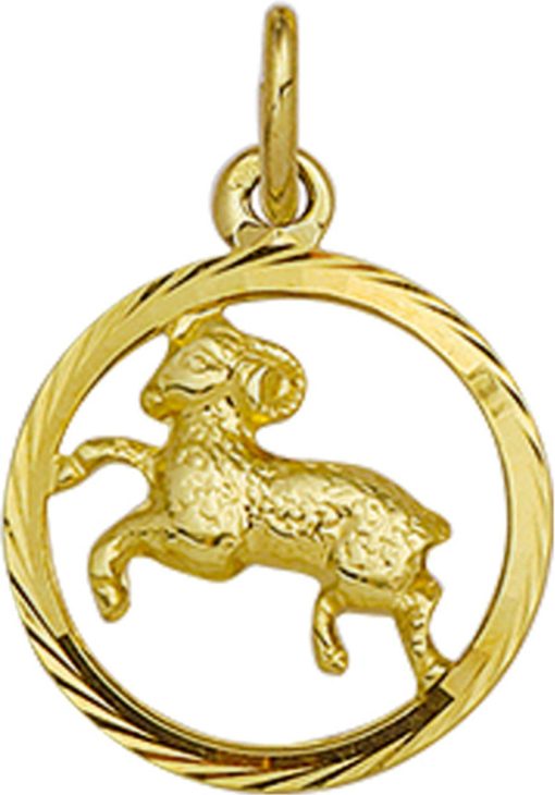 Its-Beautiful | Hanger Sterrenbeeld Gediamanteerd 14K Geelgoud | Nu te koop bij 14Karaats.nl | 10001091-Pendants
