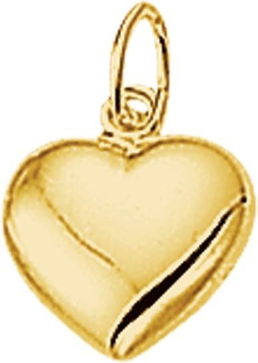 TFT | BJ 40.18469 14K goude bedel hart | Nu te koop bij 14Karaats.nl | 10001091-Pendants