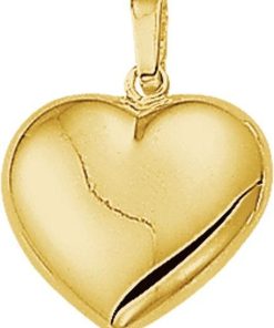 The Jewelry Collection | The Jewelry Collection Hanger Hart - Goud | Nu te koop bij 14Karaats.nl | 10001091-Pendants